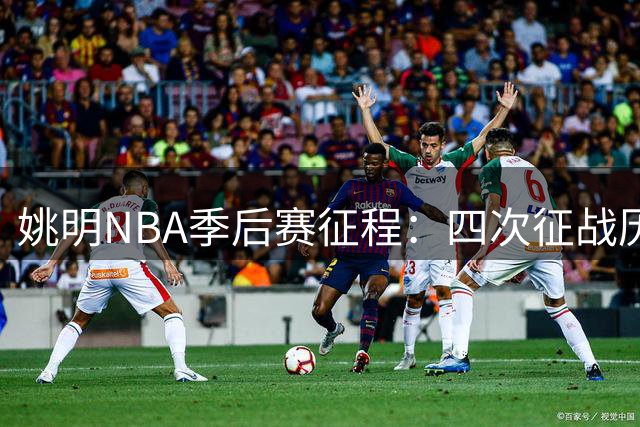 姚明NBA季后赛征程：四次征战历程与伤病遗憾